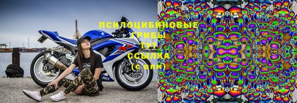 соль ск Белокуриха