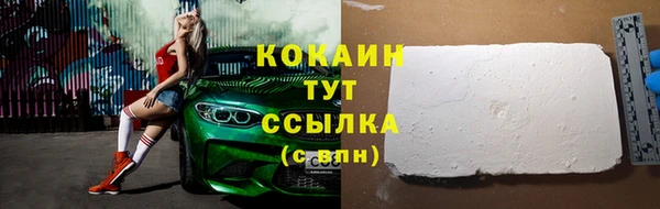 соль ск Белокуриха
