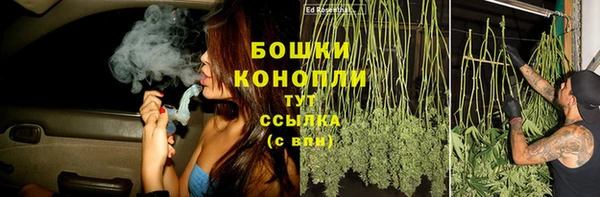 соль ск Белокуриха