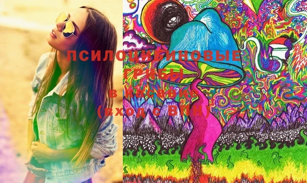 соль ск Белокуриха